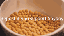 bean soybean