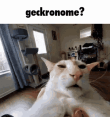 Geckronome Guh GIF - Geckronome Geck Guh GIFs