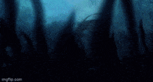 a giant squid is swimming in the ocean surrounded by trees .