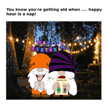 Gnome The Golden Years GIF - Gnome The Golden Years Funny Meme GIFs