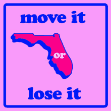 Florida Fl GIF - Florida Fl Miami GIFs