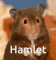 a close up of a hamster with the word hamlet above it