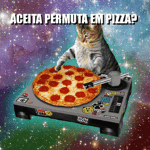 Pizza Cat GIF