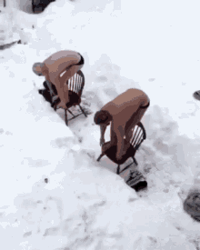 Every Day At Swim Dive GIF - Every Day At Swim Dive Snow Dive GIFs