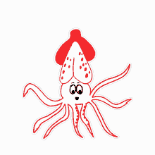 squid floating