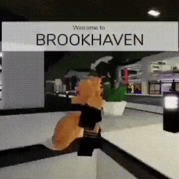 Brookhaven Hack Pt.3  Roblox, Funny gif, Brookhaven