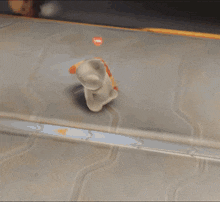 a stuffed animal with a scarf around its neck is walking on a carpet .
