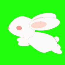 Rabbit Running GIF