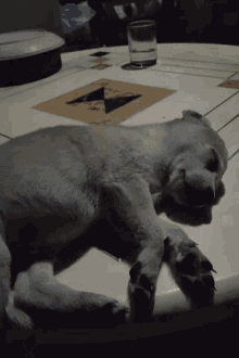 Sleep Dog GIF - Sleep Dog Pup GIFs