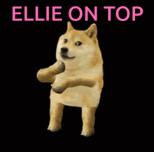 Ellie On Top GIF
