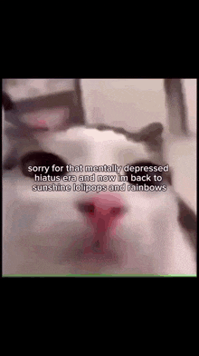 a close up of a cat with a caption that says sorry for that mentally depressed hiatus era