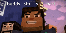 a picture of a minecraft character with the words buddy stal vi mart written on it