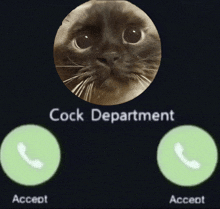 a phone screen with a picture of a cat and the words cock department above it
