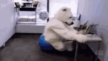 Bearly Working GIF - Bearly Working Fell GIFs