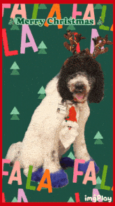 Merry Christmas Dog Merry Christmas Funny GIF - Merry Christmas Dog Merry Christmas Merry Christmas Funny GIFs