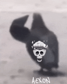 a black and white photo of a bird with a skull on its head and the name aexon below it