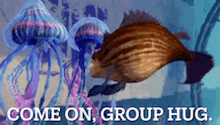 a picture of jellyfish and a fish with the words come on group hug on the bottom