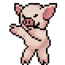 pig dance