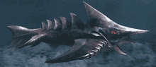 Zigra Shark GIF