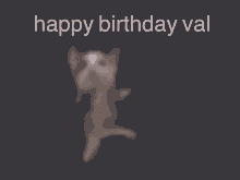 a blurred image of a cat with the words happy birthday val below it