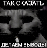 a black and white photo of a cat smoking a cigarette in russian .