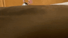 Rat Mouse GIF - Rat Mouse Chasing GIFs