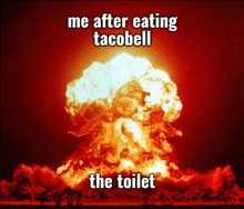 Taco Bell Toilet GIF