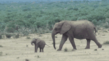 Dad'S Home! GIF - Baby Elephant Family GIFs
