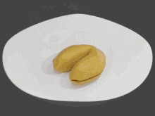 Fortune Cookie Fortune GIF - Fortune Cookie Fortune Cookie GIFs