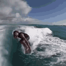 surfer dolphin