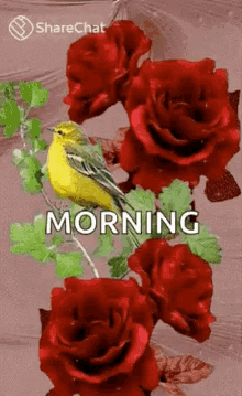 Good Morning Flowers GIF - Good Morning Flowers Birds GIFs