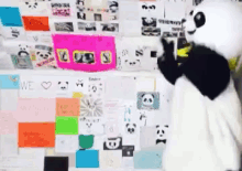 Panderz_ GIF - Panda Dance Costume GIFs