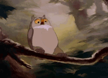 Owl Spin GIF
