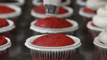 icing cupcake redvelvet swirl process