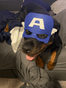 Super Dog Super Hero GIF - Super Dog Super Hero Super GIFs