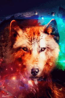 Wolf Moon GIF
