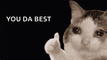 You Da Best Meme GIFs | Tenor