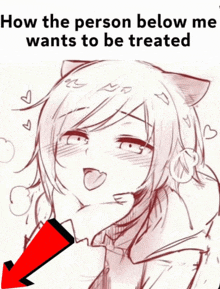 a drawing of a girl with a cat ear and the words " how the person below me wants to be treated "