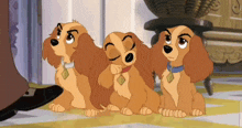 Colette Annette And Danielle Lady And The Tramp 2 GIF - Colette Annette And Danielle Lady And The Tramp 2 GIFs
