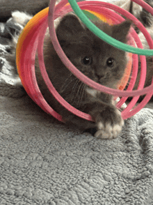 a kitten is playing with a colorful toy on a bed
