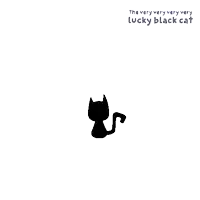 a very very very lucky black cat with yellow eyes is sitting on a white background .