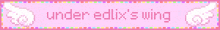 a pink banner with the words under edix 's wing written on it