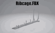 Ribcage Fbx GIF - Ribcage Fbx Model GIFs