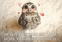 Owl Hearts GIF - Owl Hearts Hello GIFs