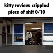 Kitty Review Kitty GIF - Kitty Review Kitty Kitten GIFs