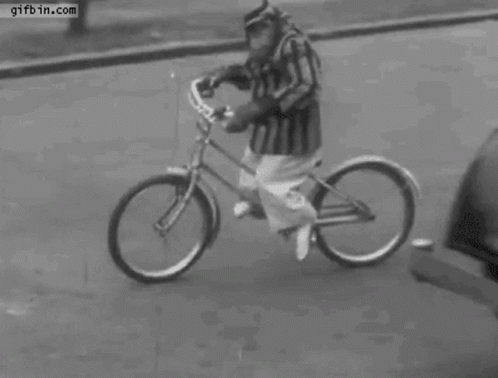 monkey-cycling.gif