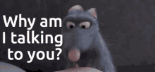 Remy Ratatouille GIF - Remy Ratatouille Why Am I Talking To You GIFs