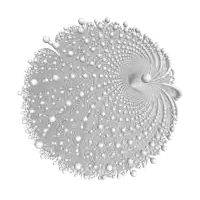 a circle of white balls with a spiral in the middle