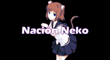 Neko Nación GIF - Neko Nación Gato GIFs