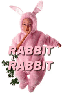 Rabbit Rabbit Wink GIF - Rabbit Rabbit Wink GIFs